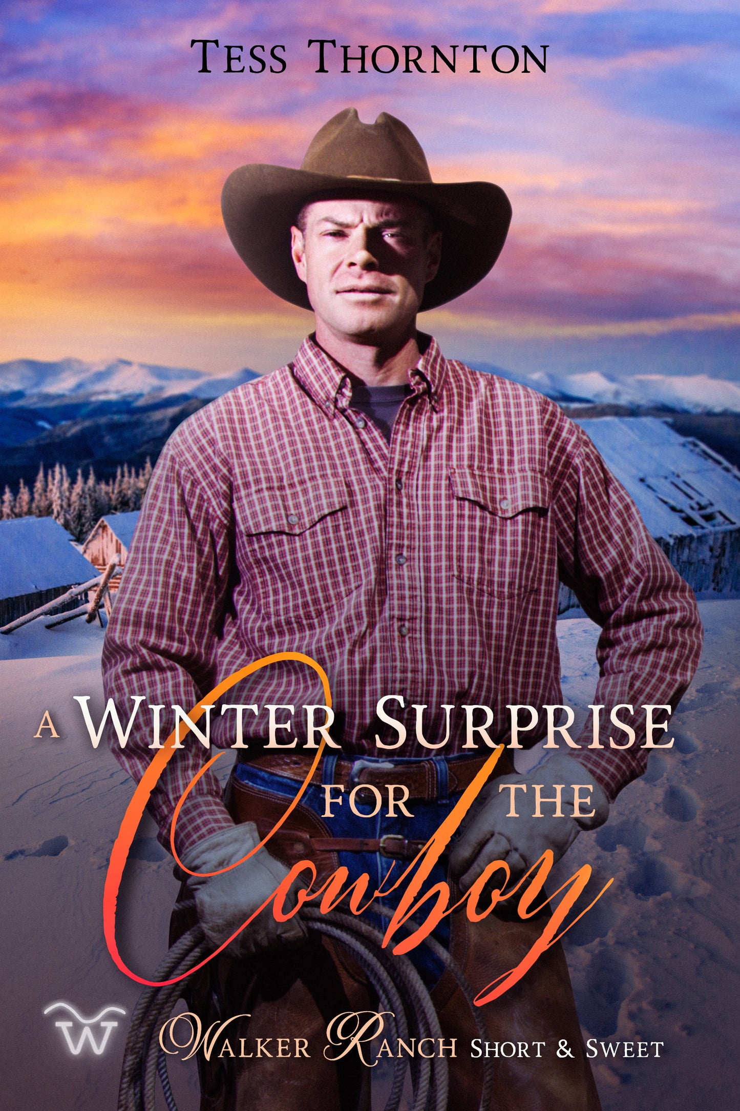 A Winter Surprise for the Cowboy